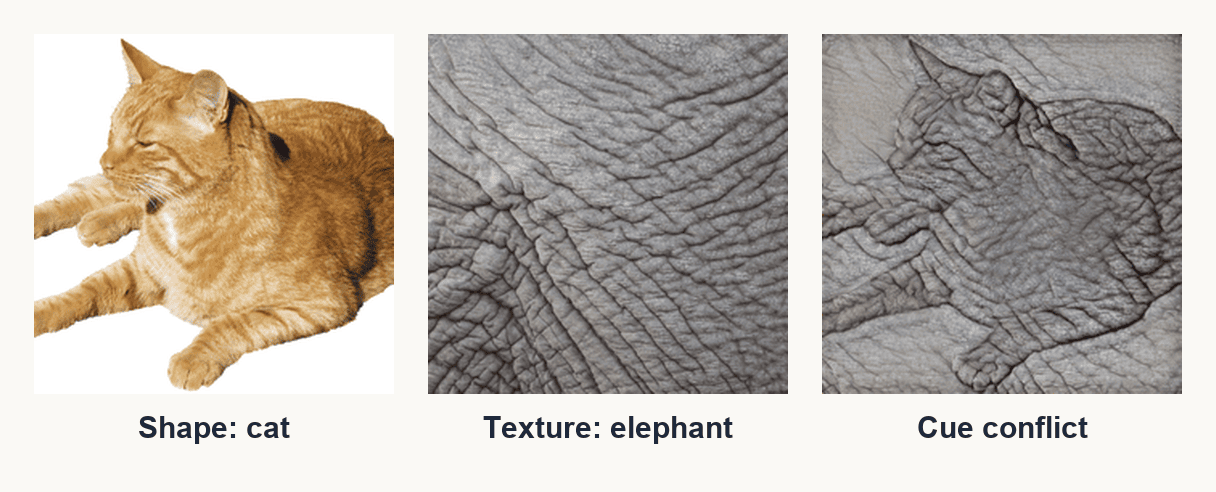 Three panels: a photograph of a ginger cat labelled shape cat; a close-up of grey wrinkled elephant skin labelled texture elephant; and the two combined, a cat silhouette carrying elephant skin, labelled cue conflict