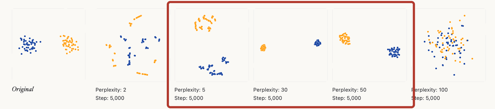 The same strip with a red box around the perplexity 5, 30 and 50 panels: in all three the two groups come out separate and never mix. The same two clusters embedded at perplexity 2, 5, 30, 50 and 100: fragmented shards at low values, two clean clusters near 30 to 50, and mixed points at 100