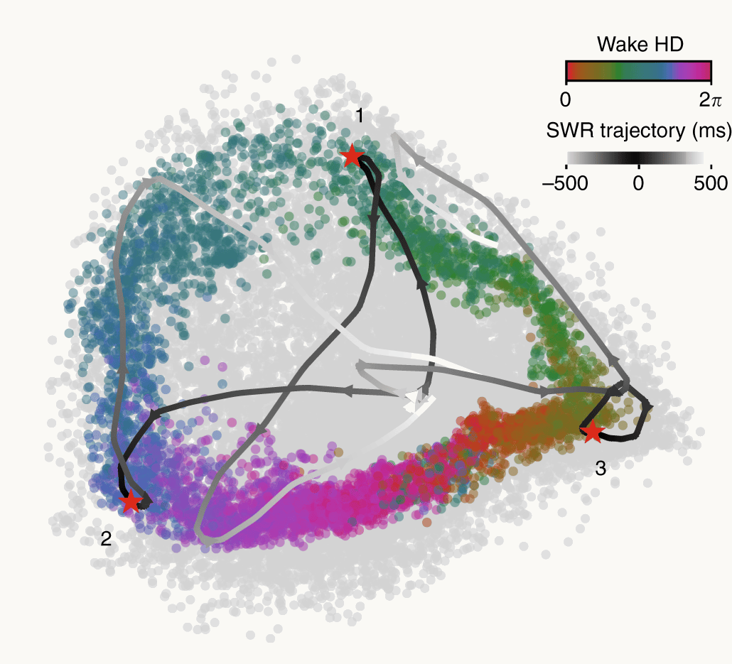 Head-direction population activity embedded with Isomap: a ring colored by heading, with activity during sleep travelling around it