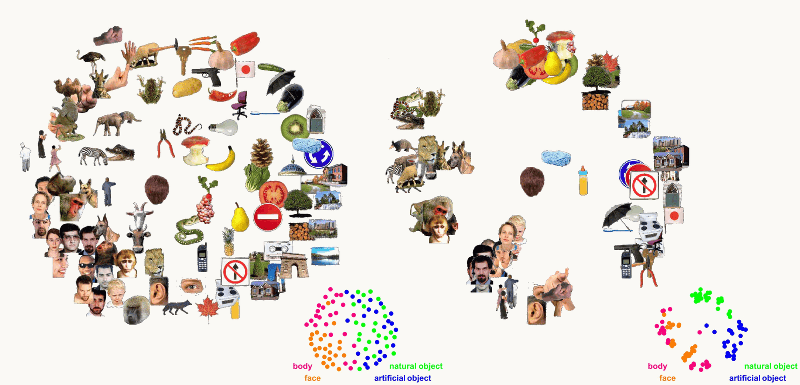 The same 92 object images arranged by MDS of human IT fMRI responses and of human similarity judgments