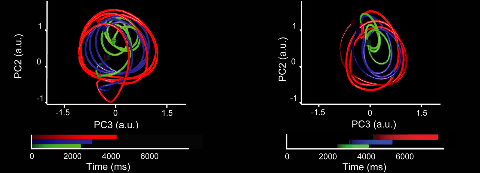 Premotor population activity of monkeys tapping to a beat, on the first principal components: the activity traces loops, larger for slower tempos