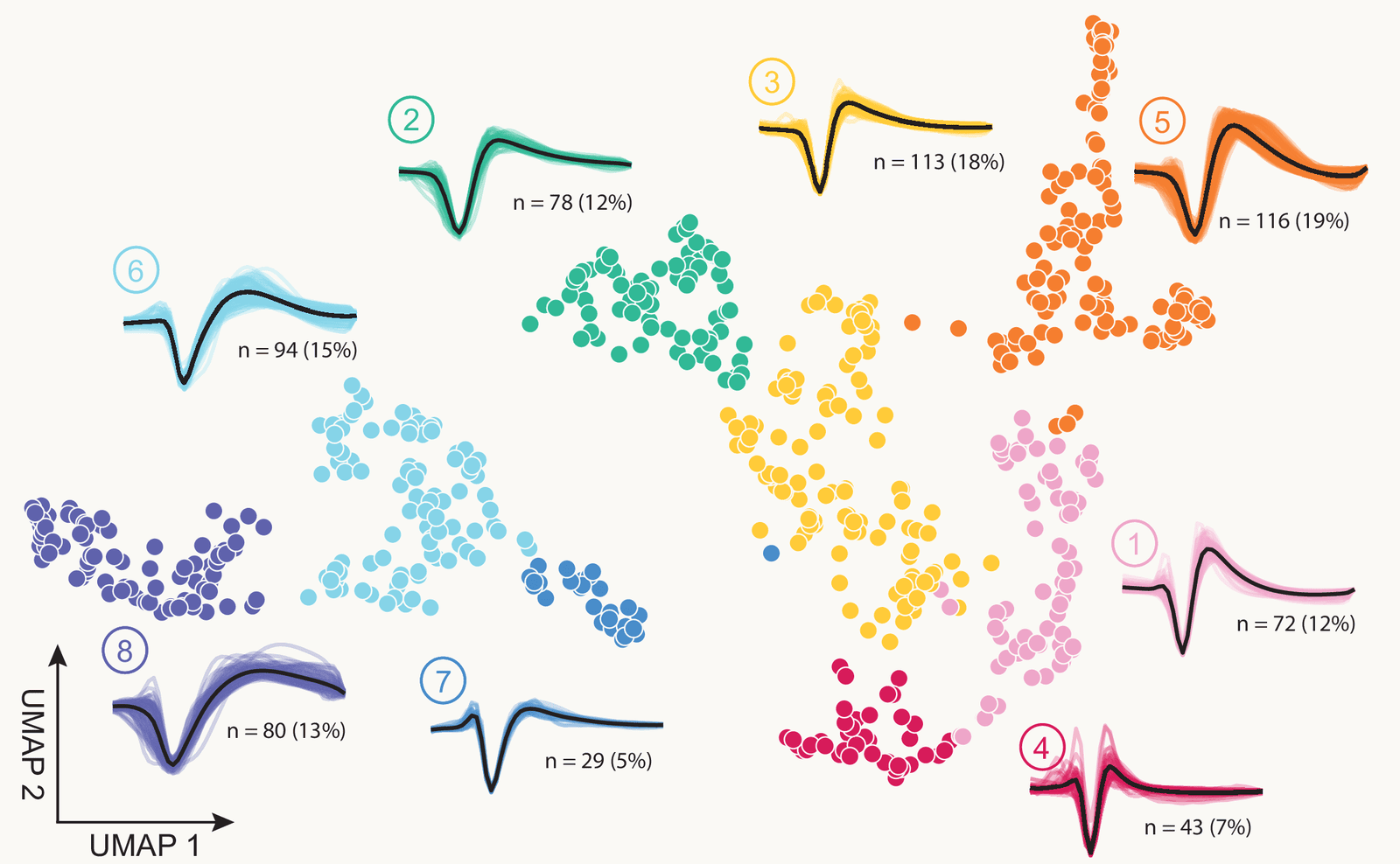 UMAP of 625 spike waveforms from monkey premotor cortex, in eight clusters with their average waveforms