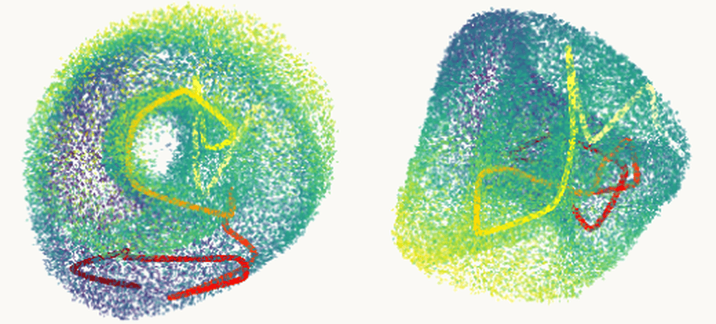 Grid-cell population activity embedded in 3-D, seen from two angles: the points form a torus, a ring-shaped surface with a hole, with a five-second stretch of the rat's trajectory drawn on it in red and yellow