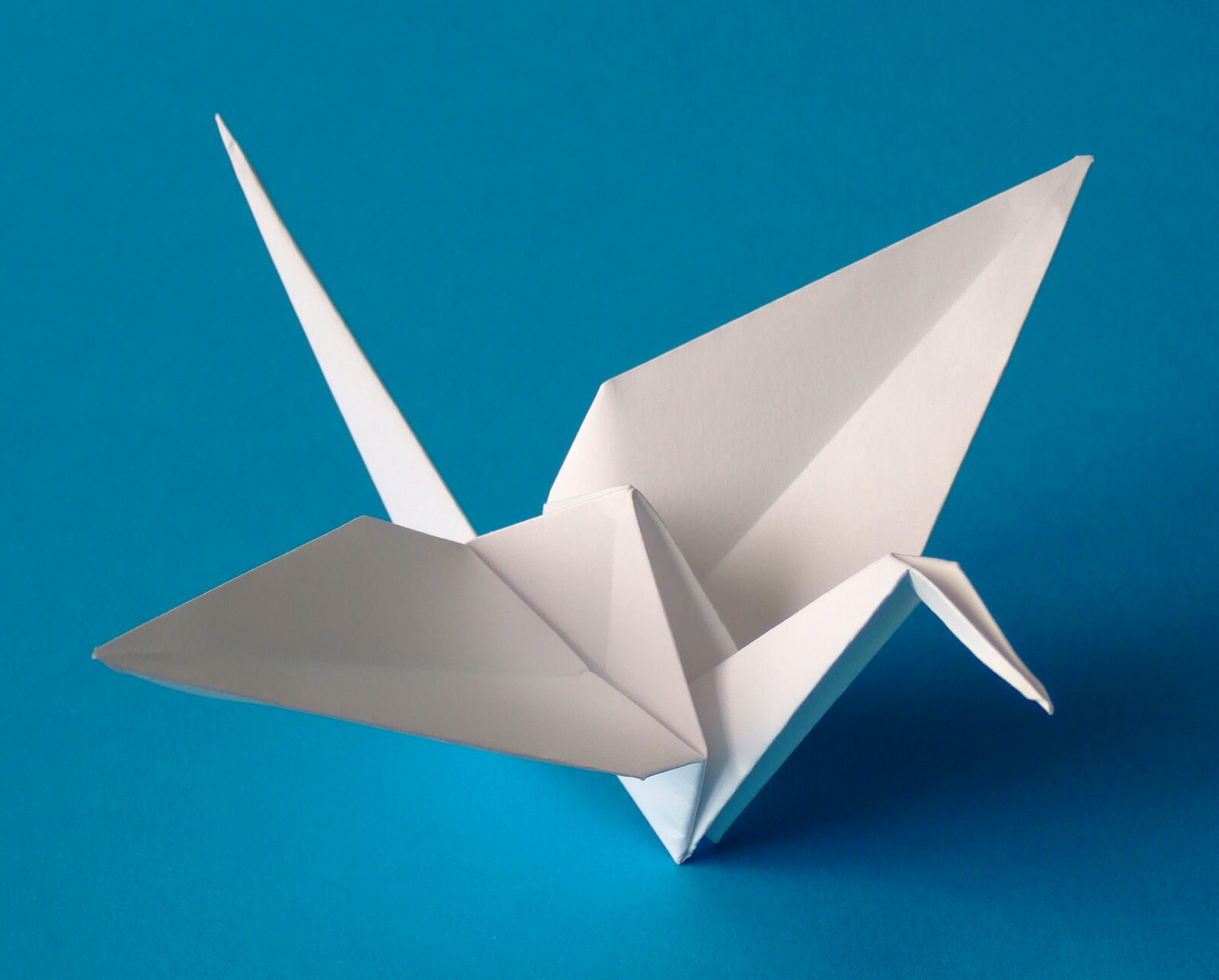 A white paper crane folded from one uncut square of paper, photographed on a plain blue background