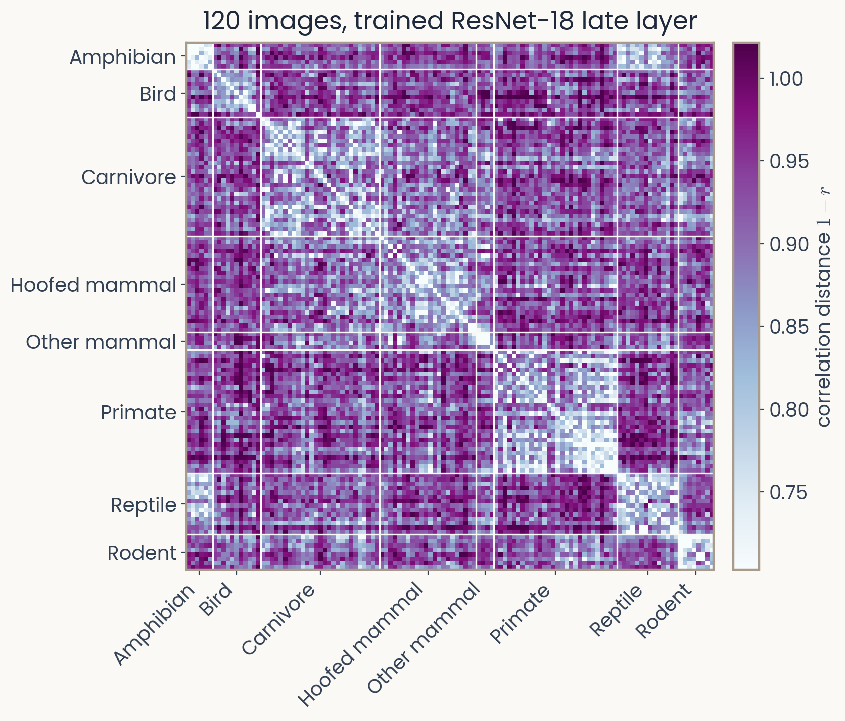 A 120 by 120 representational dissimilarity matrix of the Assignment 1 images from the trained ResNet-18 late layer, correlation distance, images ordered by animal category with category boundaries drawn; light blocks along the diagonal show that primates, carnivores and hoofed mammals are more alike within their category than across