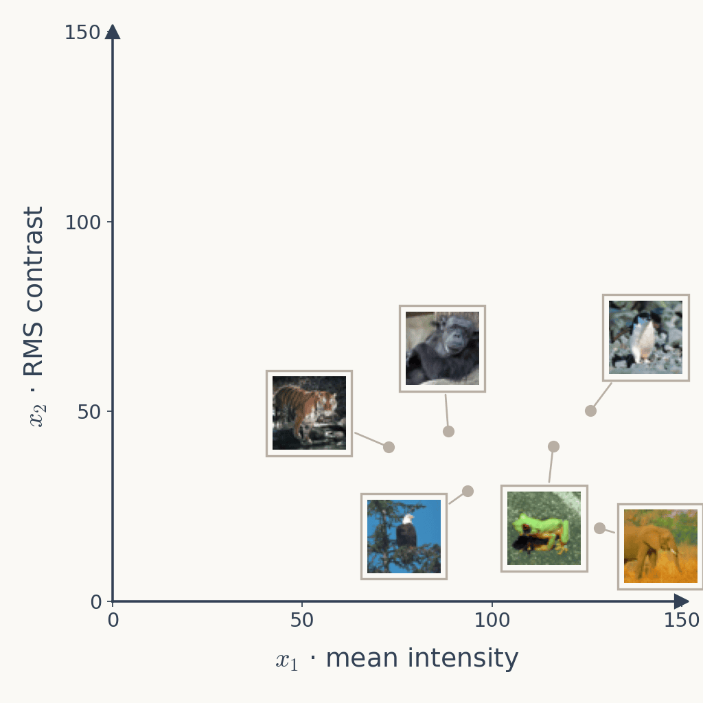 The same plot with all six images shown as thumbnails at their points: tiger, gorilla, eagle, frog, penguin and elephant