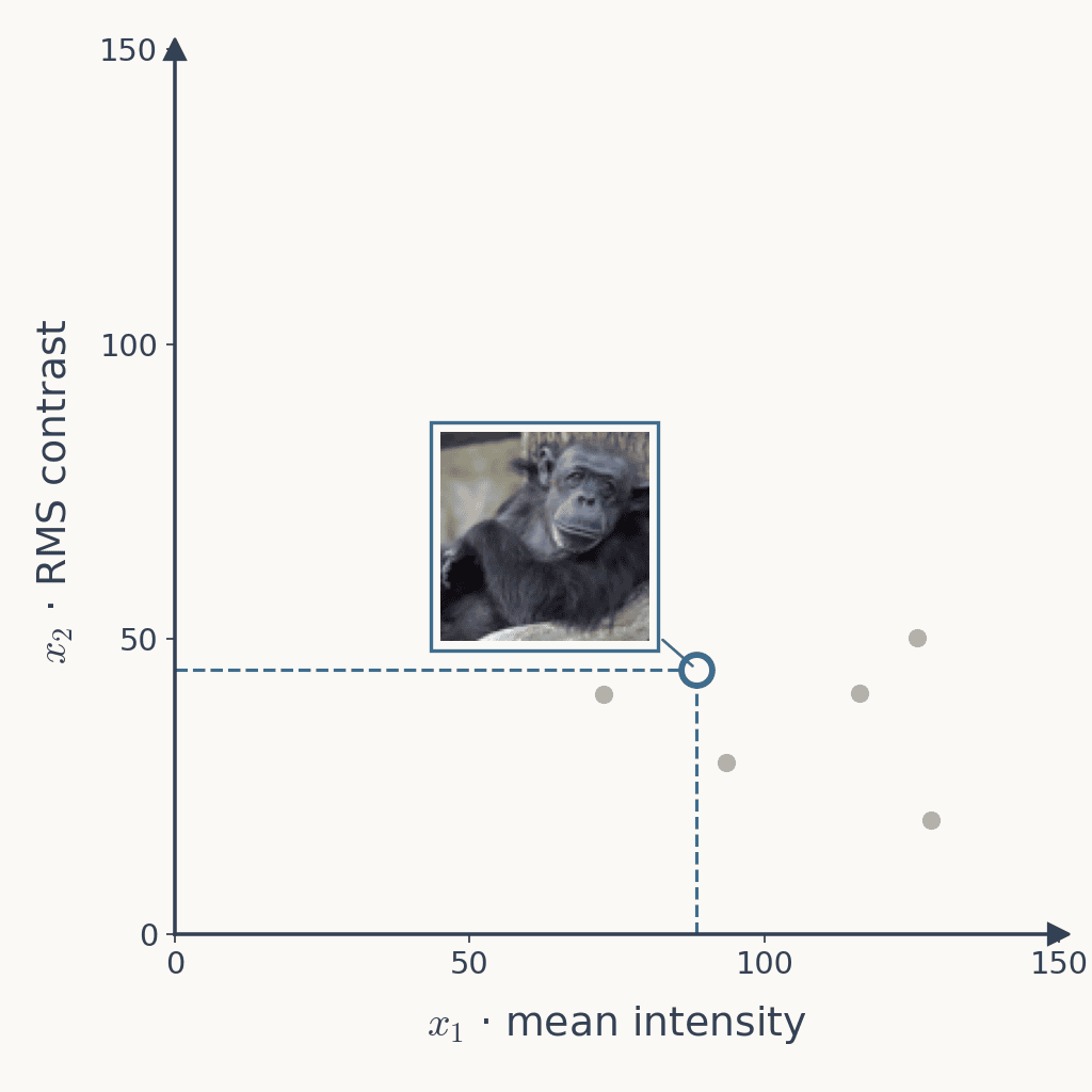 The same plot with the gorilla's point at 88.4 and 44.8 highlighted and its thumbnail beside it