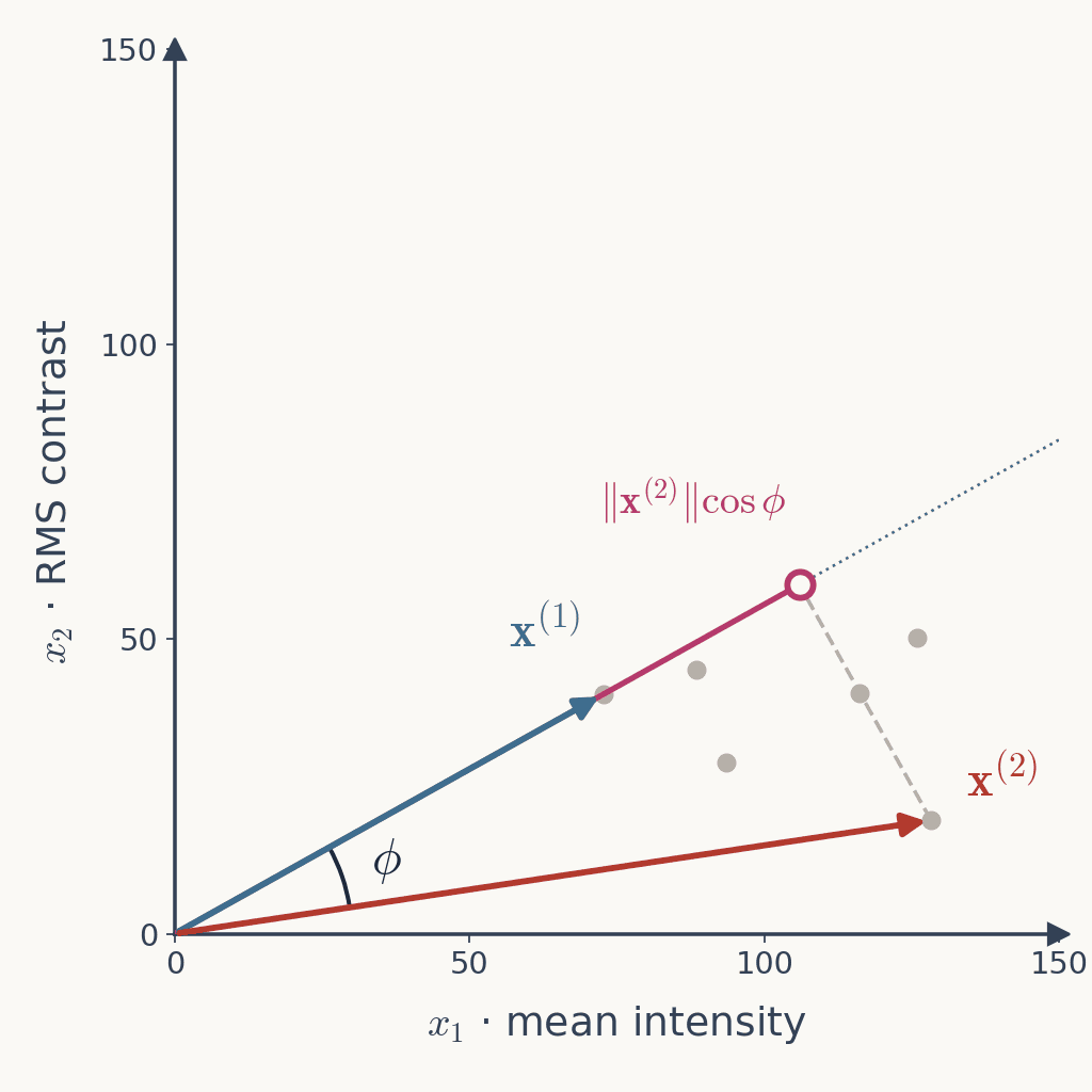 The feature-space plot with the tiger vector x superscript 1 and the elephant vector x superscript 2, the angle phi between them marked at the origin, and the projection of the elephant vector onto the tiger's direction shown as a magenta segment with a dashed perpendicular