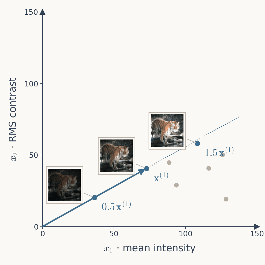 The feature-space plot with the tiger at half, normal and one-and-a-half brightness, three thumbnails whose points lie on one dotted line through the origin, the normal tiger marked by the blue vector x superscript 1