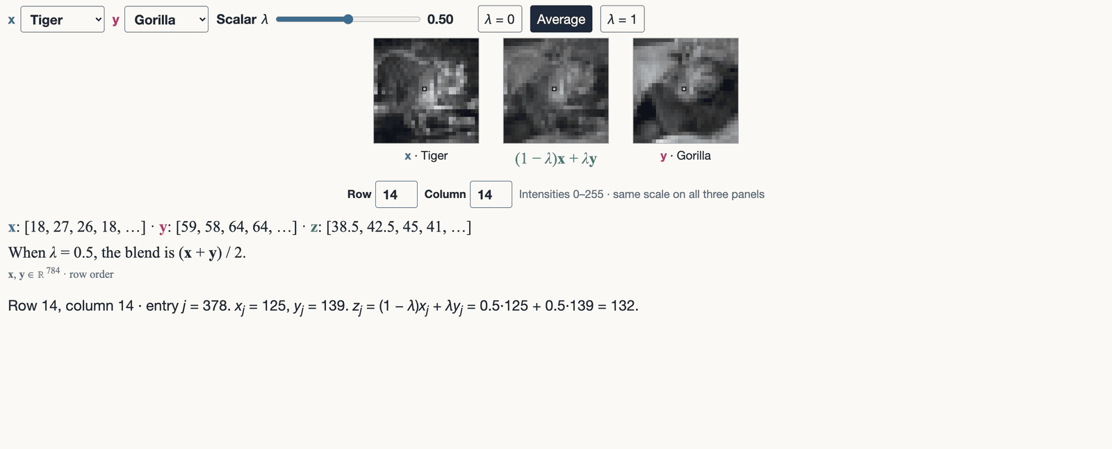 The original tiger and gorilla images with their pixelwise arithmetic mean between them