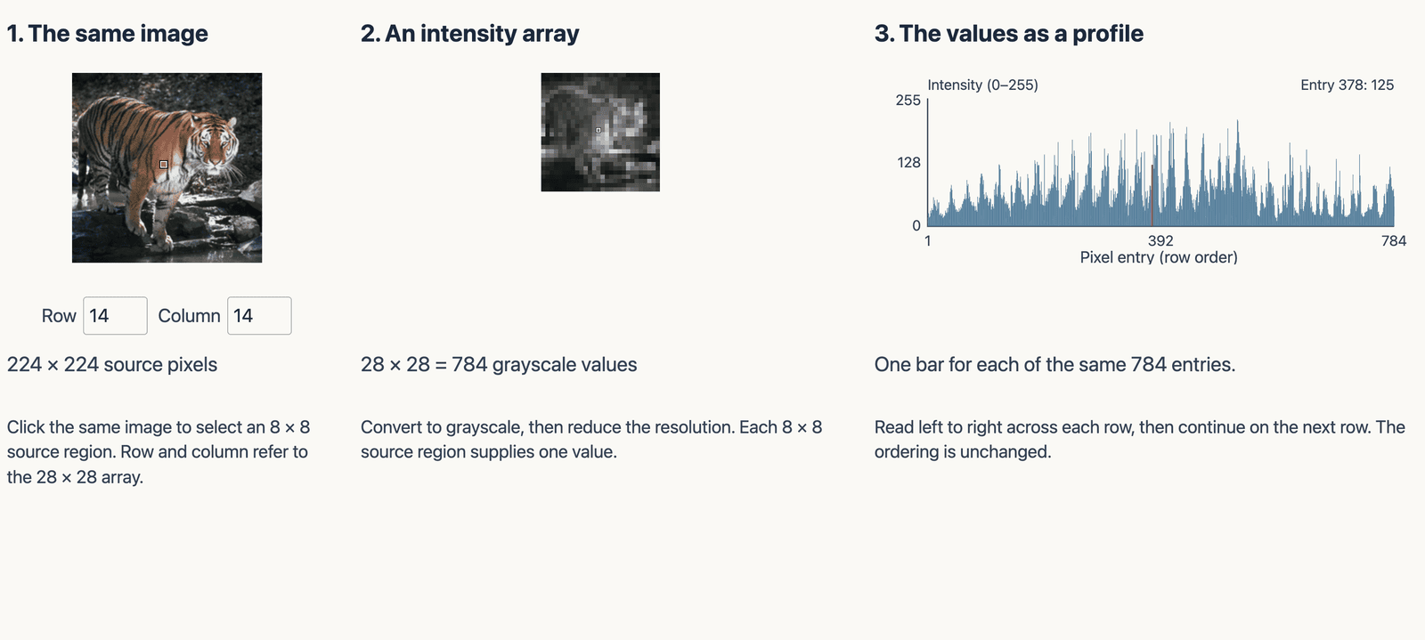 The tiger photograph and its 28 by 28 array, with all 784 values plotted in row order as a profile