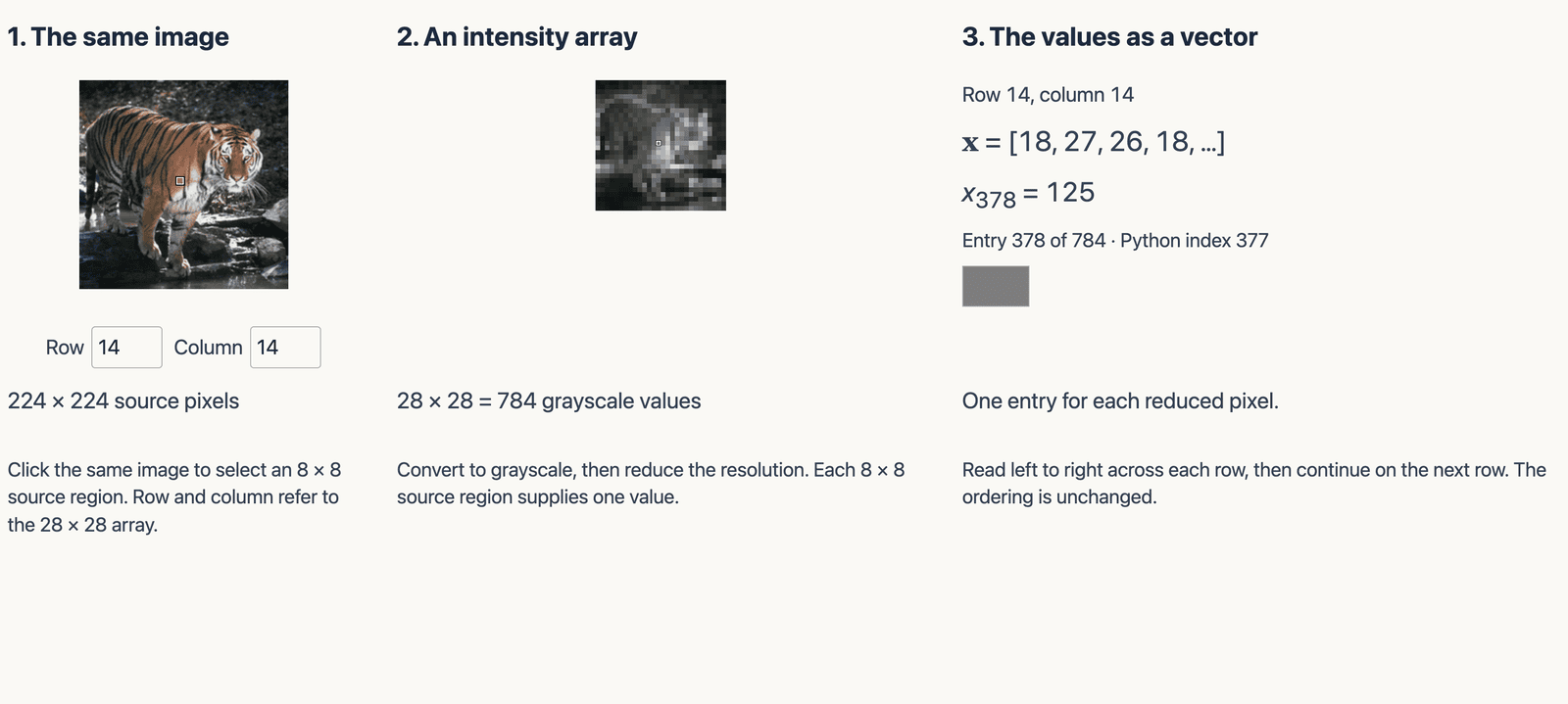 The tiger photograph, its 28 by 28 intensity array, and the same values written out as one vector