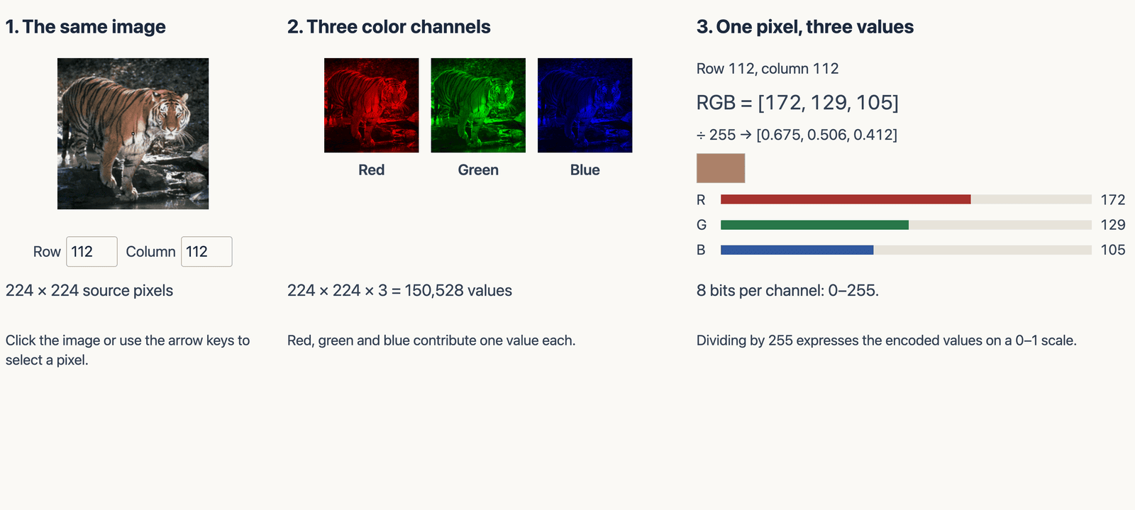 The tiger photograph, its red, green and blue channels, and the RGB values of a selected pixel