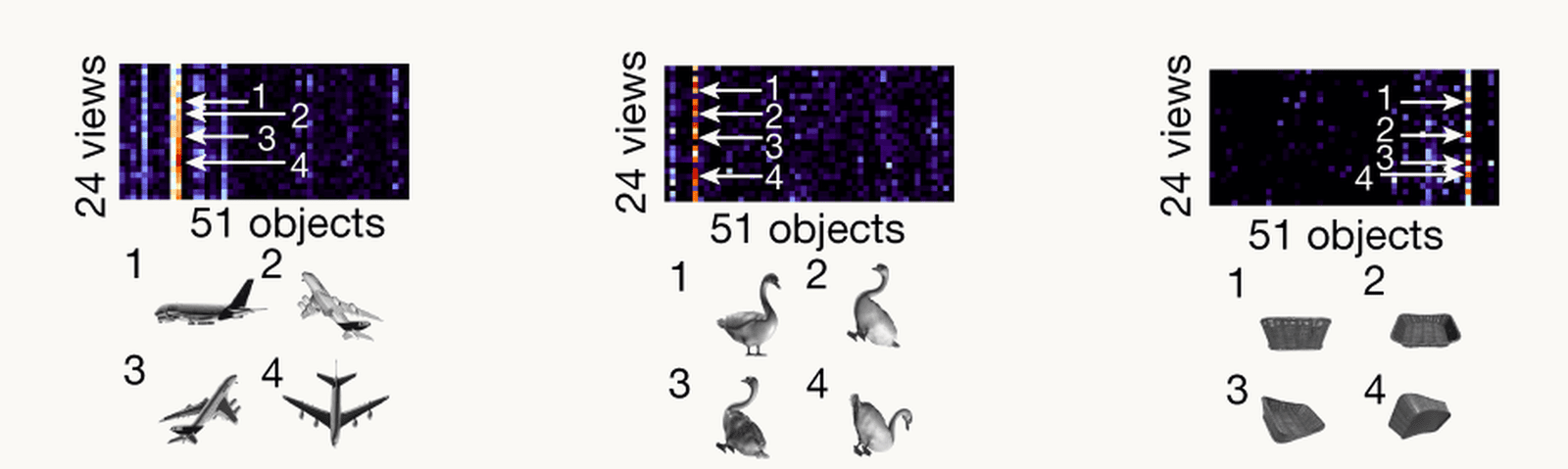 Three example IT cells from Bao and colleagues, each shown as a 24-view by 51-object response matrix with four views of the cell's preferred object picked out and shown underneath: an aeroplane, a swan and a basket