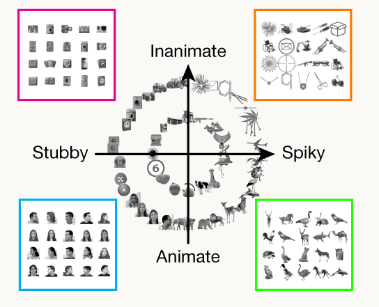 Bao et al.'s schematic of the AlexNet object space: stimulus images arranged in the plane of the first two PCs, in four colored groups