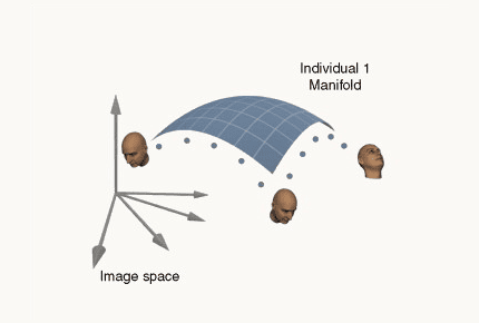 DiCarlo and Cox's drawing: one person's face images trace a curved sheet, a manifold, inside image space, with three example heads at different poses on it