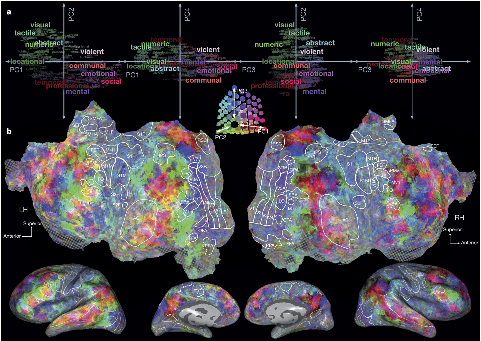 Panels from Huth et al. showing word-related features above cortical surfaces, where every voxel is colored by its first three PCA coordinates (red for PC1, green for PC2, blue for PC3), producing a smooth rainbow map across cortex