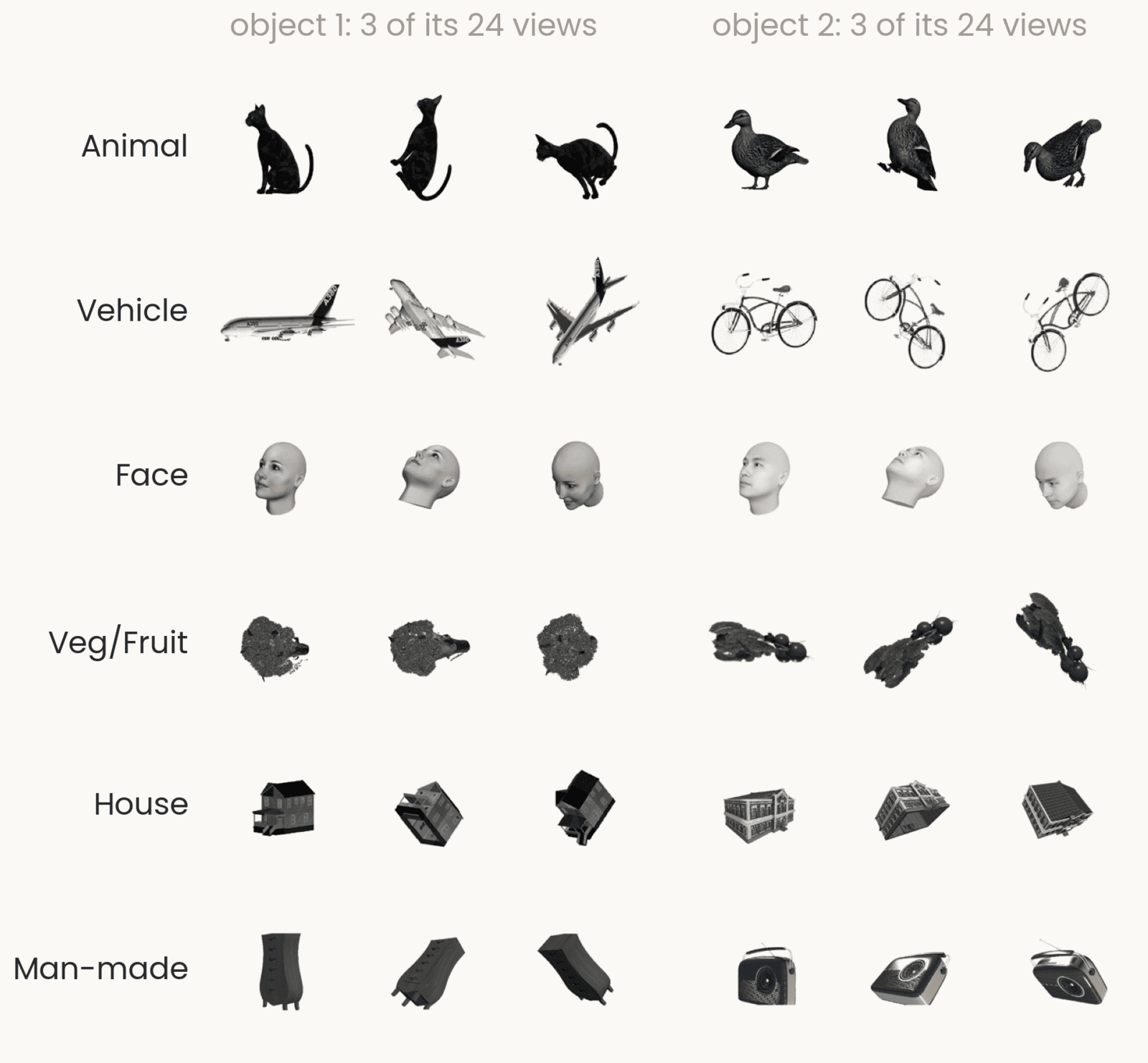 A grid of renderings, one row per category (animal, vehicle, face, vegetable or fruit, house, man-made object). Each row shows two different objects of that category, for example a cat and a duck, an airliner and a bicycle, each seen from three of its 24 viewpoints