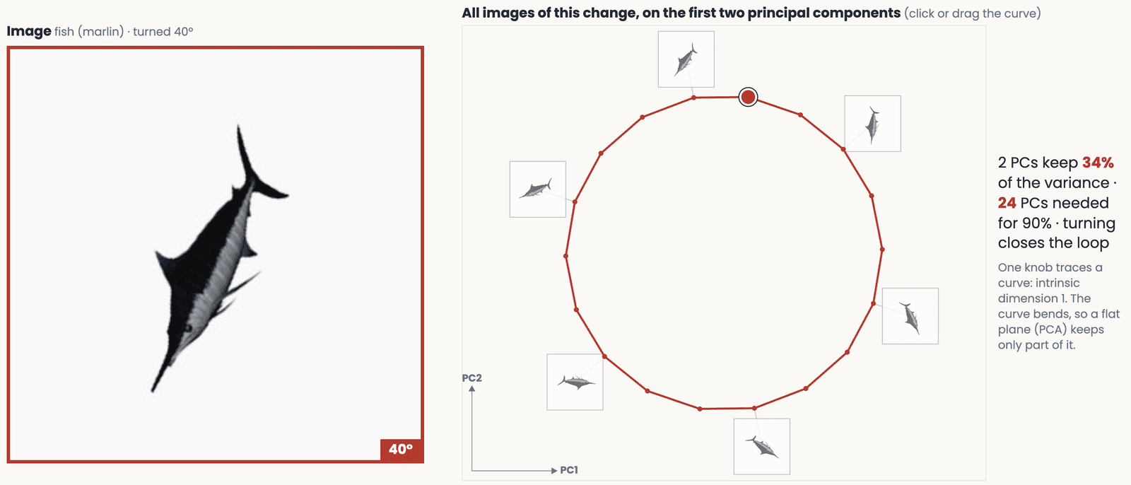 The transformation demo: the marlin turned 40 degrees shown large, beside the closed loop traced by all its turned images on two principal components, with the variance kept by two components and the number needed for 90 percent