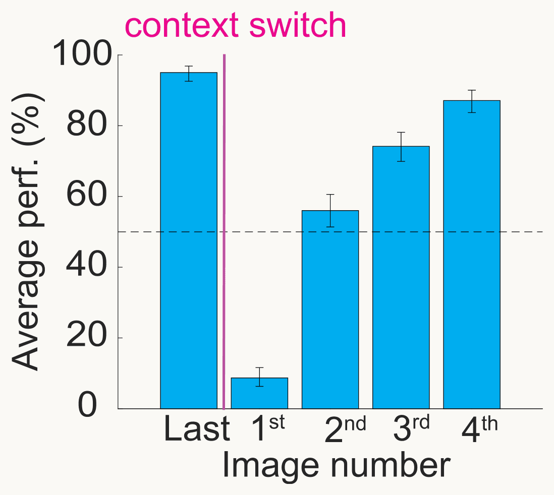 Bernardi et al. (2020) Fig. 1c. Bar chart of average performance in percent, 0 to 100, against image number around a context switch, marked by a magenta line. Last image before the switch: about 95%. First image after it: about 9%. Second, third and fourth images: about 56, 74 and 87%. A dashed line marks 50%, chance for a choice between release and hold. Error bars are 95% confidence intervals