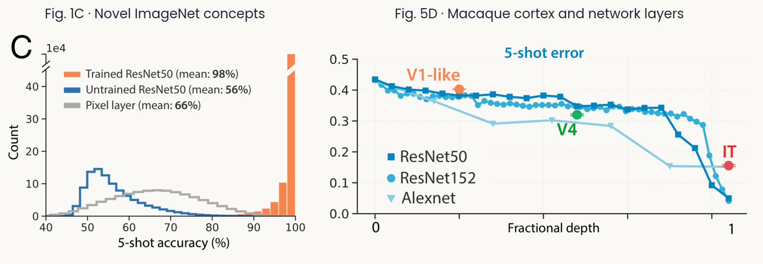 Reproduced from Sorscher, Ganguli and Sompolinsky 2022: accuracy of the prototype readout on new categories against the number of examples per category, for the trained network, an untrained network and raw pixels, and the five-photo accuracy read from monkey IT and V4 recordings compared with network layers