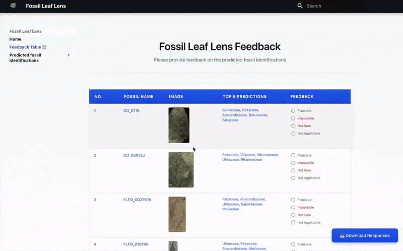 Leaf Lens Navigation Guide